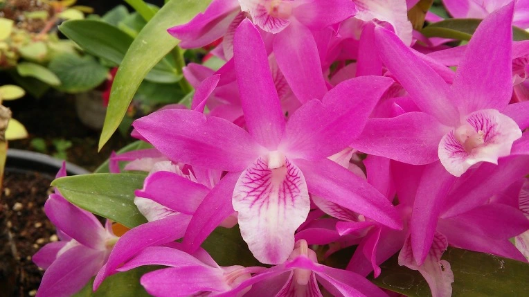 263CD64B5724693F2AD91A