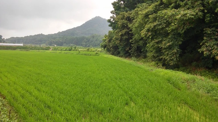 2272E23B576CFBF13189A6