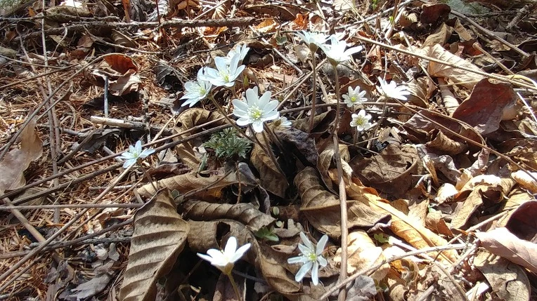 9908F2415AD54B6819B28A