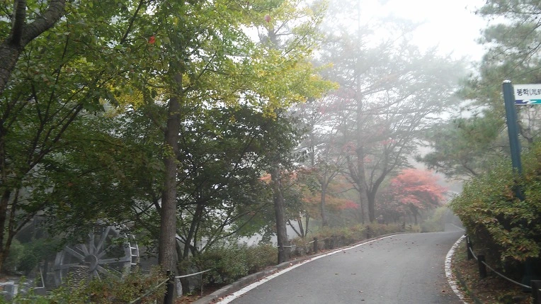 2232A23A5625E545291304