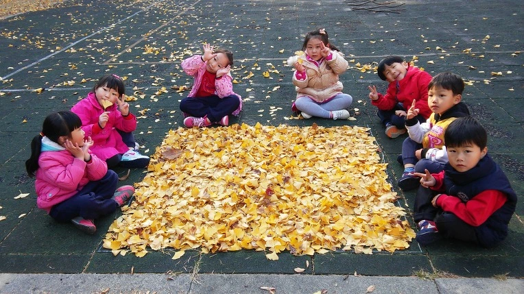 232BD23A5631ACE7194B18