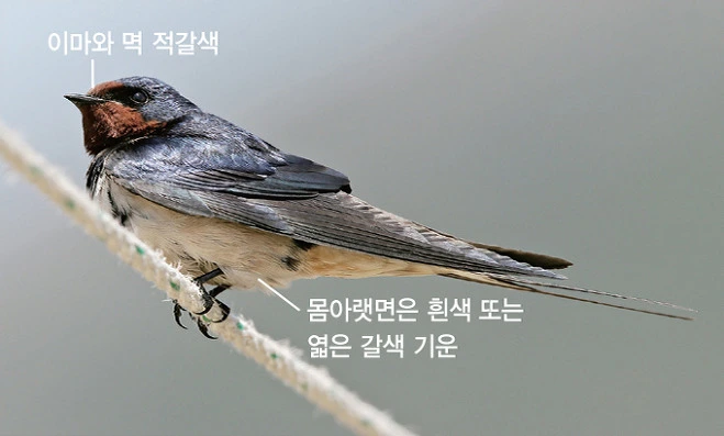 ?fname=http%3A%2F%2Ft1.daumcdn.net%2Fencyclop%2Fm120%2Fkh3sWK9PahRZbTjSsBjgkhsiJ6qfcS8CXXpt11Al%3Ft%3D1456986096000%3Ft%3D1468450800000