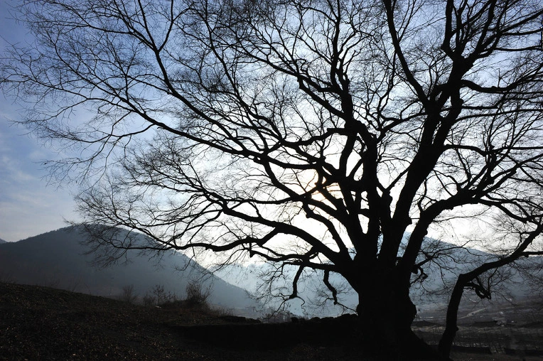 276C7D4752CBA9550C38A1