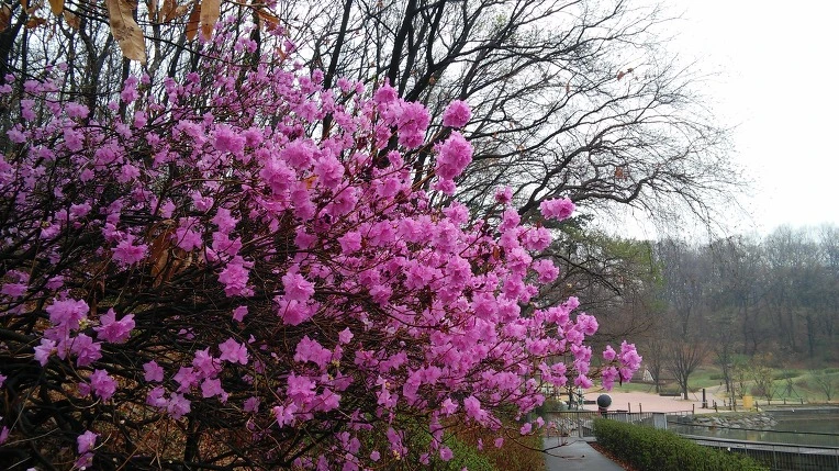 2271FA5057059CDB2600D6