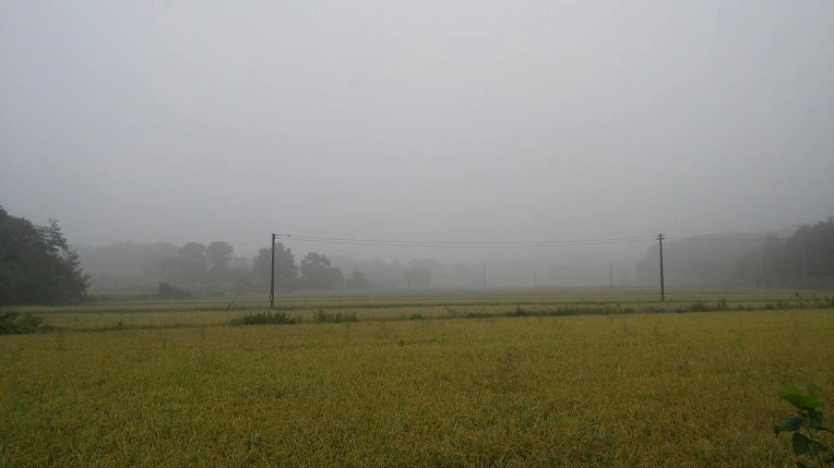 2103733757D4AE46253F22