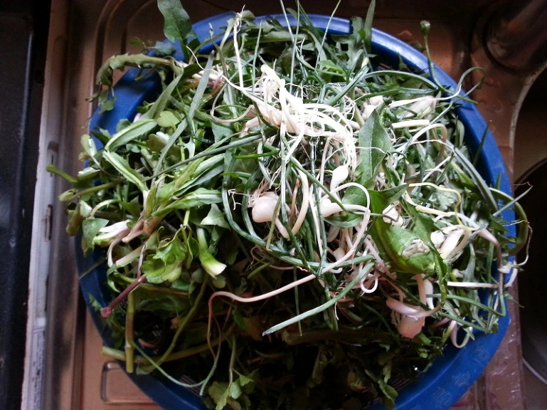 27570A42533A75EE03ACE8