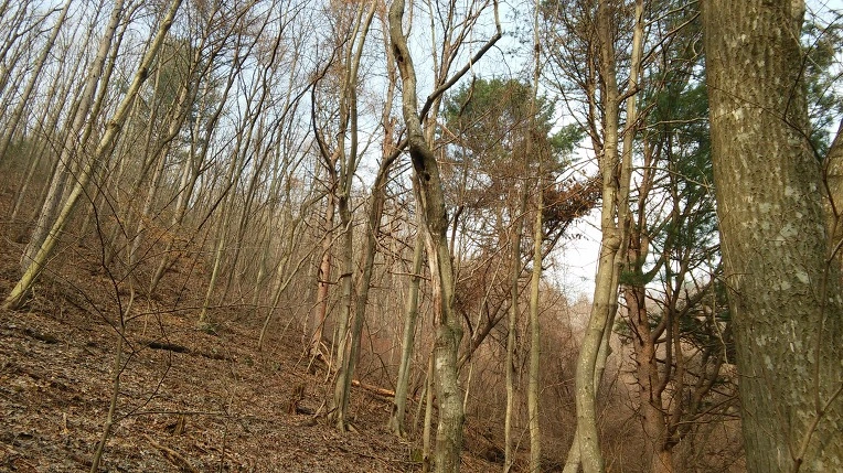 222E5B4156EDE5172B0EC9