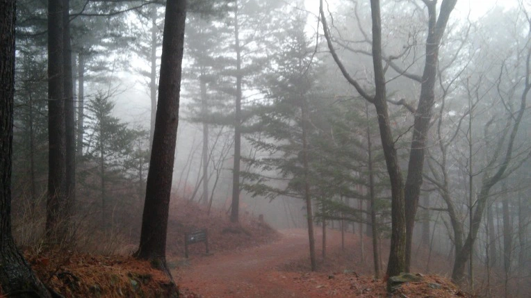 2302E24B56DB70142666B4