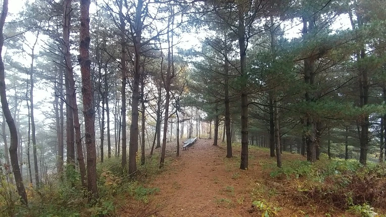 992AA4475BD65E5138F9CD