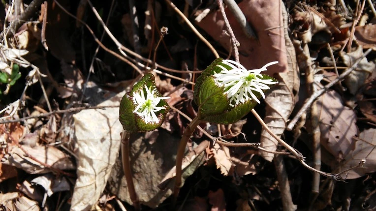 21500D4458F7E012107DBF