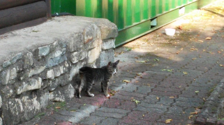 235C983455FB6DE82AB364