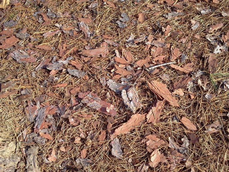 2345EF48547F927C233CCA