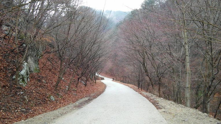 2153393E58D70B9532C712