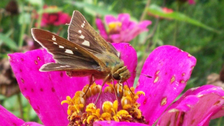 998EC333599E1B491A37AC