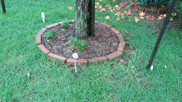 274D933C577B392211CE69