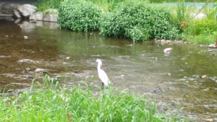 211F0148572561B70646B3