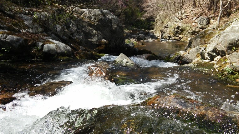 251A694458F7E024171C57