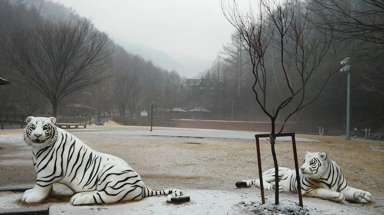 2509EB455502824E1DDDA8