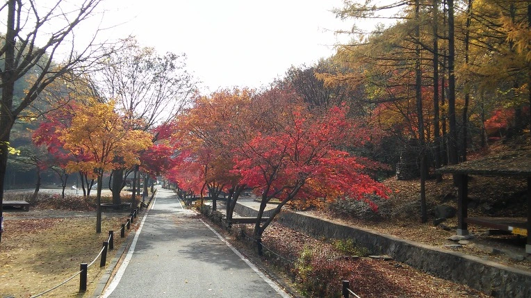 260C604F563C467821DAEE