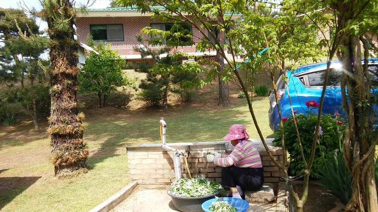 2463F83B573A5AA6100E97