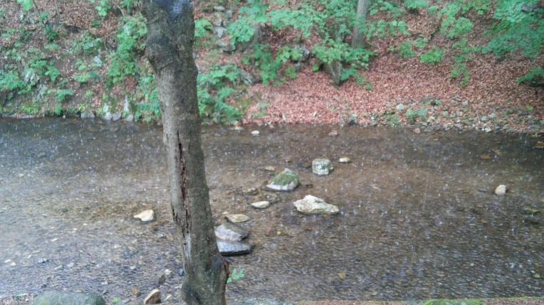 254CFE3A59596CE518AFB3