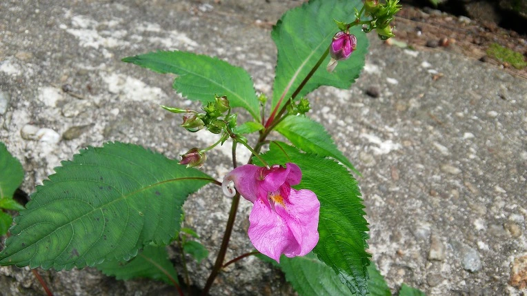 9916B7335984F852194A02