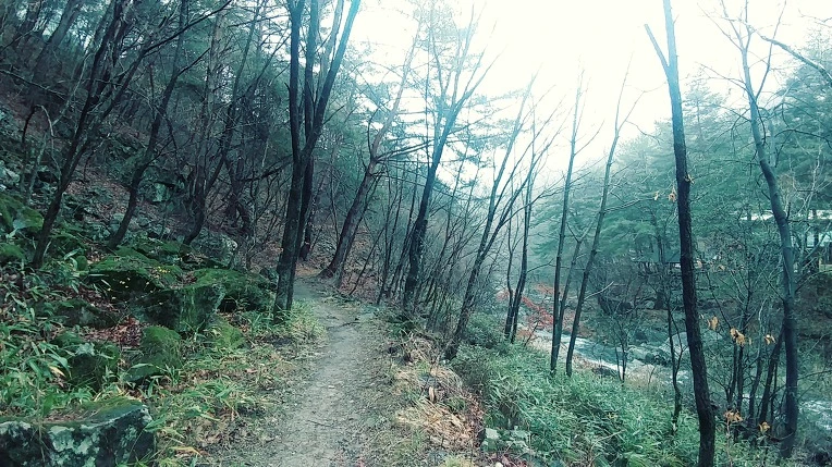 99CE8D3B5E7D5CC2316042