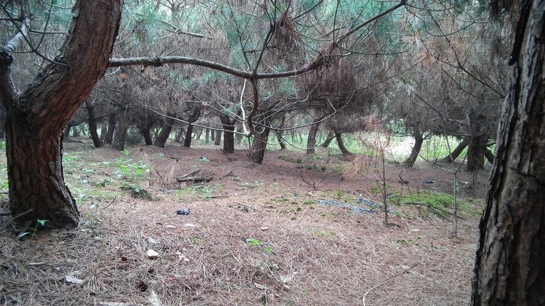 230945375747BA4507E57B