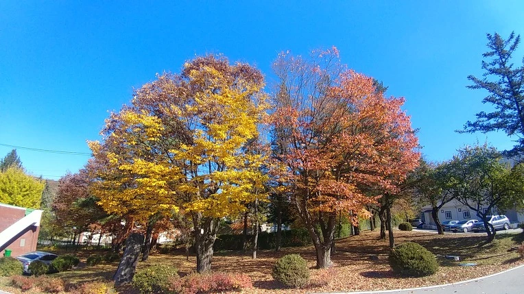 995FEB395C2326B6384758