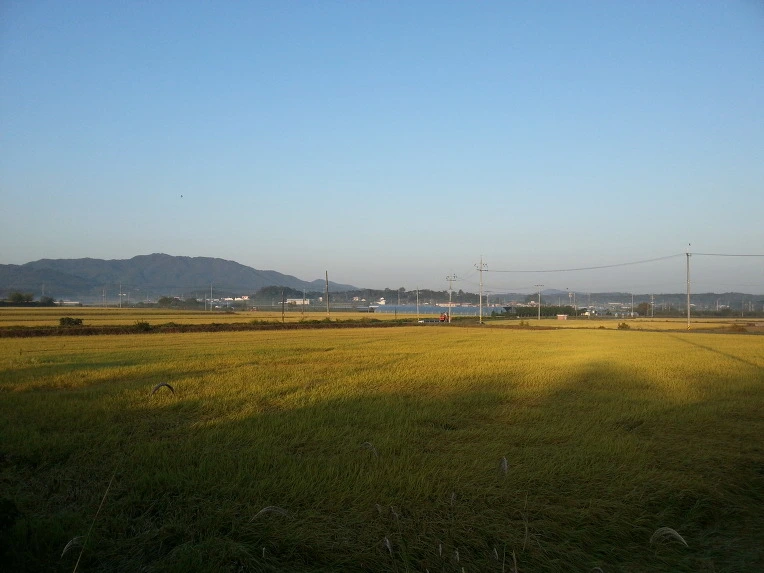 220A4D4B5432034514EA81