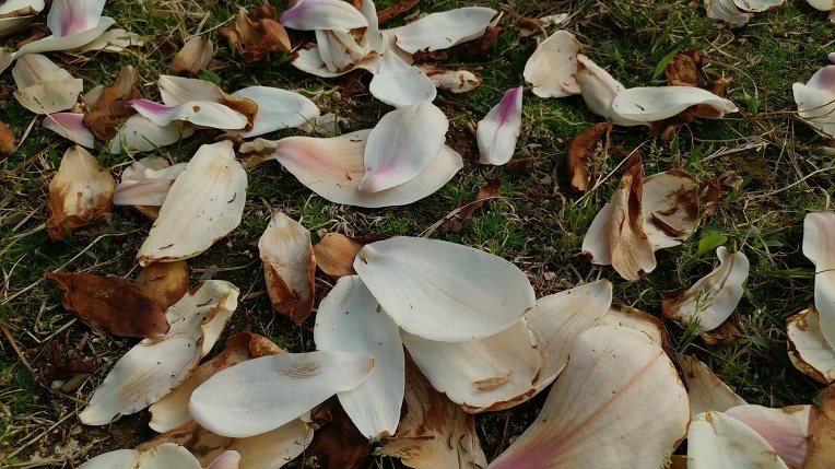 99A6BD485CF612EF3062B0