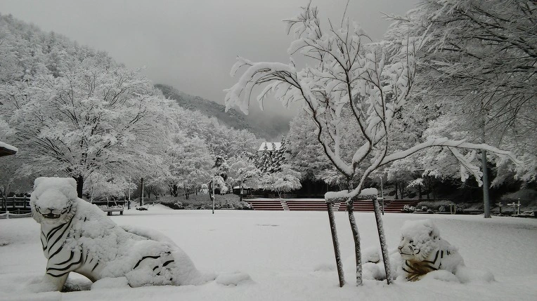 216D723C565F93F02B0800