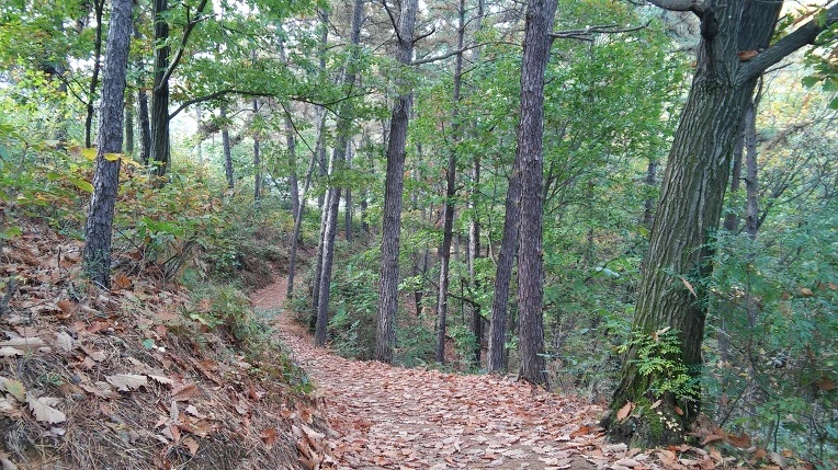 277CB93E5816BBF82BC5CF