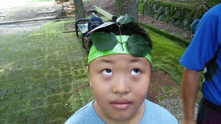 212A5B4456528BDC09576B