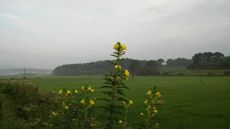 2420E04A5798316F1BAB8F