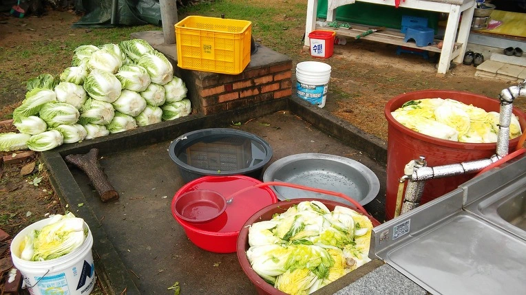 252EFD4E56499A581D7C86