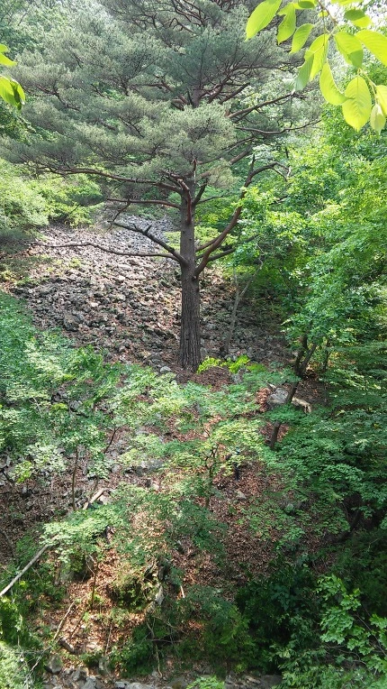 25242138592B40B2140A35