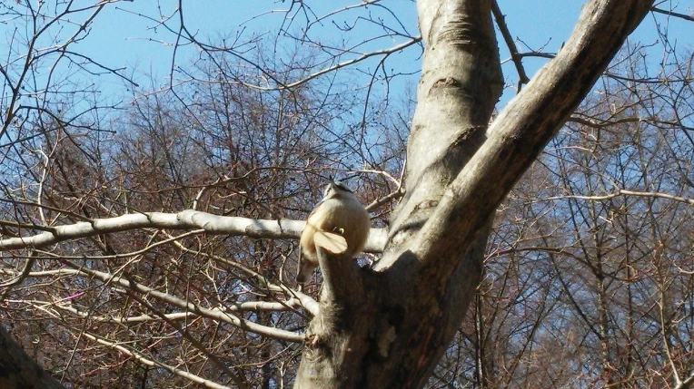 5ILqc7y2p7ua491CyRjpn4AVggk