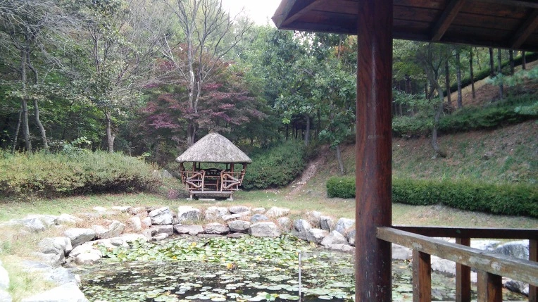 2549CD3B5619797D0264E9