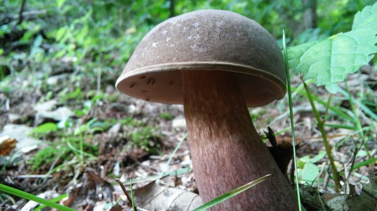 2704DC4956987CD022B30B