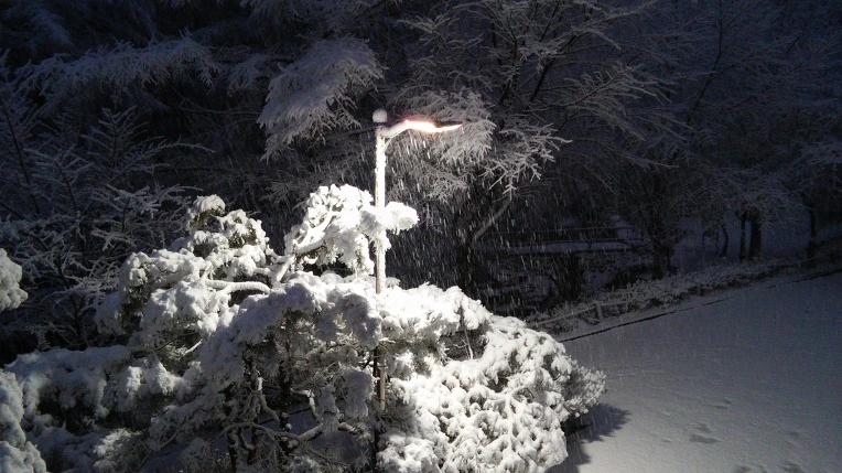 227F923B565F93D72302FF