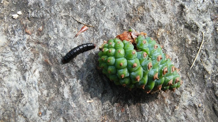 22028A365747BD2B0C5B0F