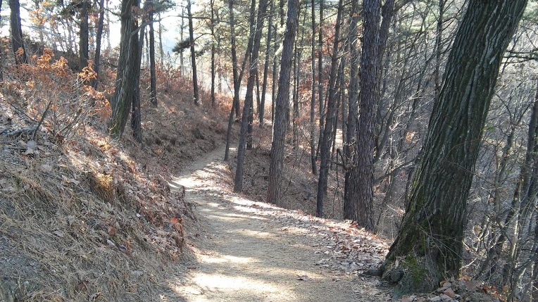 227B8C505853B82E207BB2