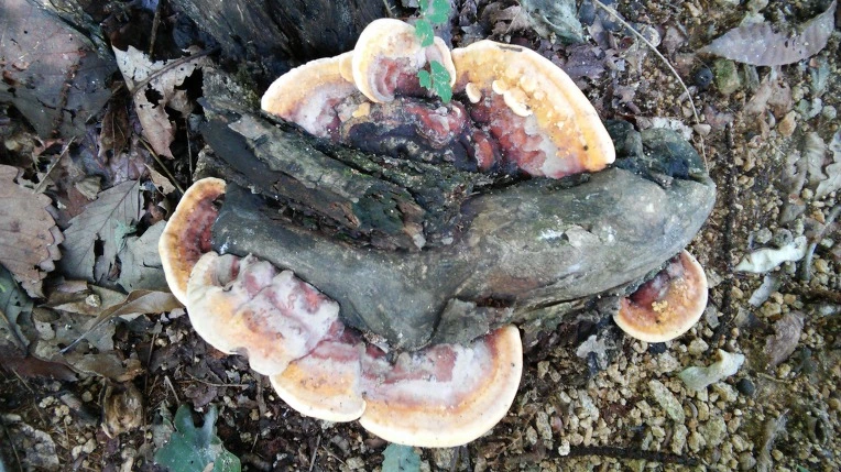 237BC34856987CBC101FAC