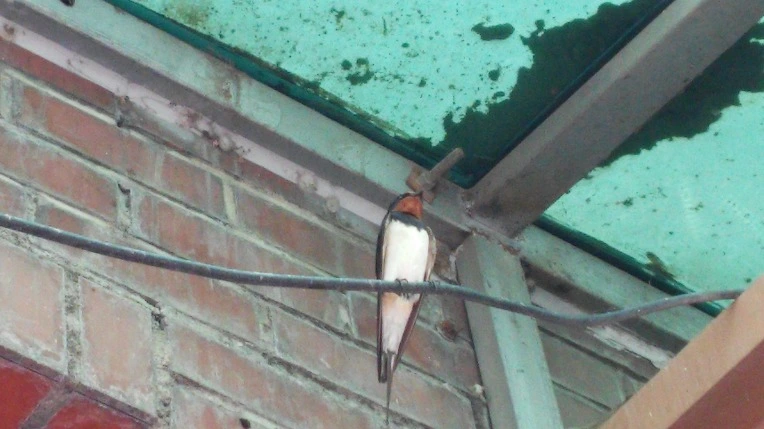 2506C64C5786C10C062F2E