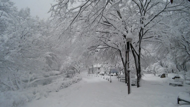 233CDB3E566008E2394B12