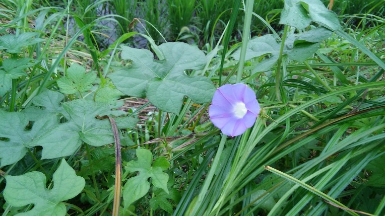 26400849577B394526FBDD