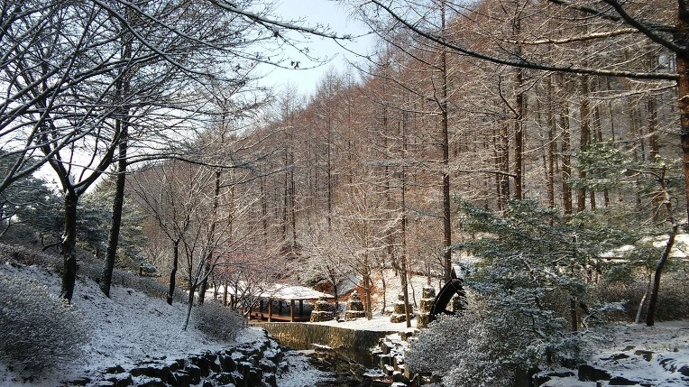 273C0D3A5656A5420F7D6A