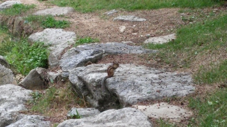 223EBD3E558C8D9A3515AE