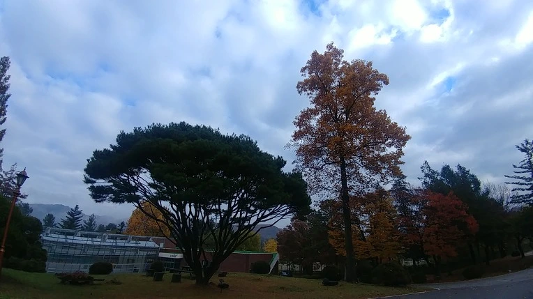 99FC773C5C275AFF062F4D